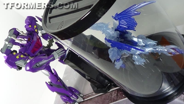 Video Review Transformers SDCC 2013 Exclusive Shockwave And Predaking Beast Hunters Figures  (1 of 10)